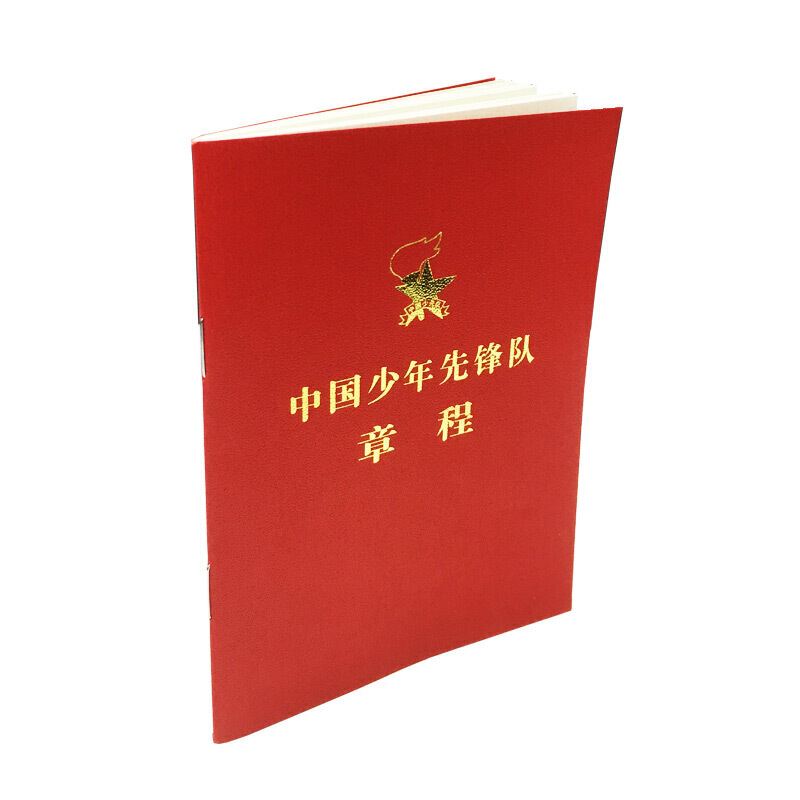 【当当网 正版书籍】中国少年先锋队章程（新版）