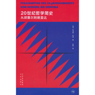 大家小书 译馆 20世纪哲学简史——从胡塞尔到德里达