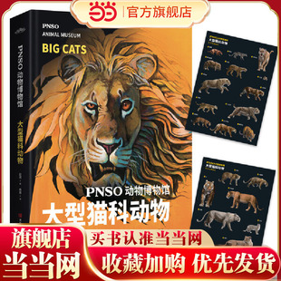 PNSO动物博物馆：大型猫科动物（把博物馆带回家，纸上iMax体验）