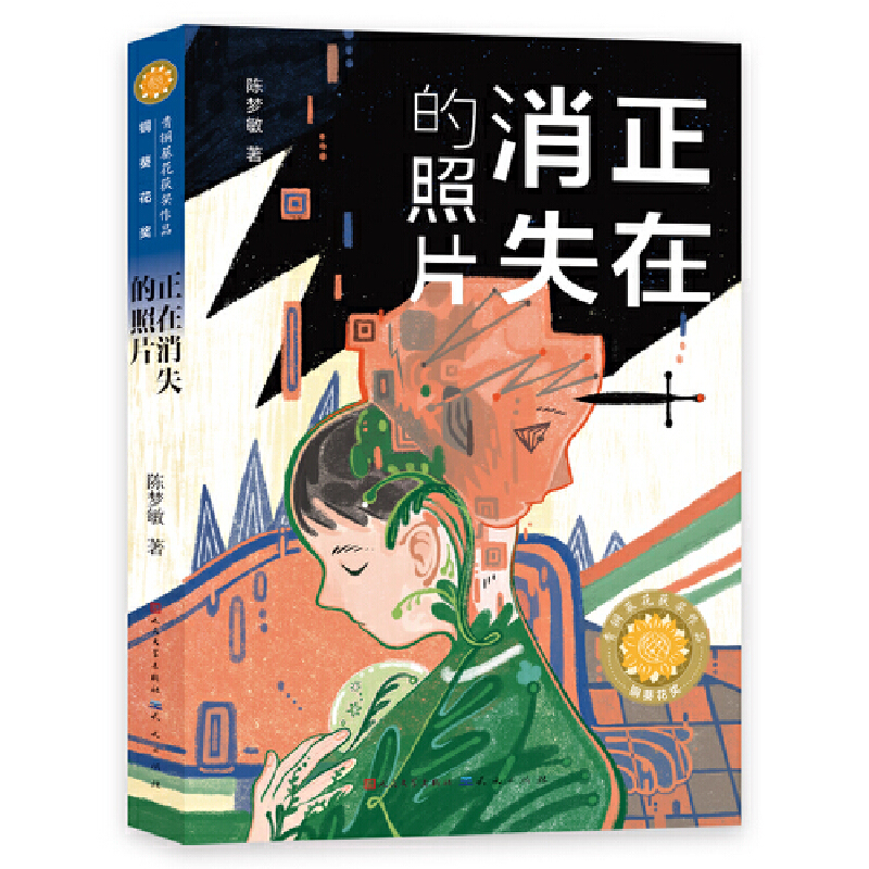 正在消失的照片（第五届青铜葵花儿童小说奖铜葵花奖作品，著名作家李洱、徐坤、文学评论家王泉根、徐则臣、贺绍俊高度评价、联