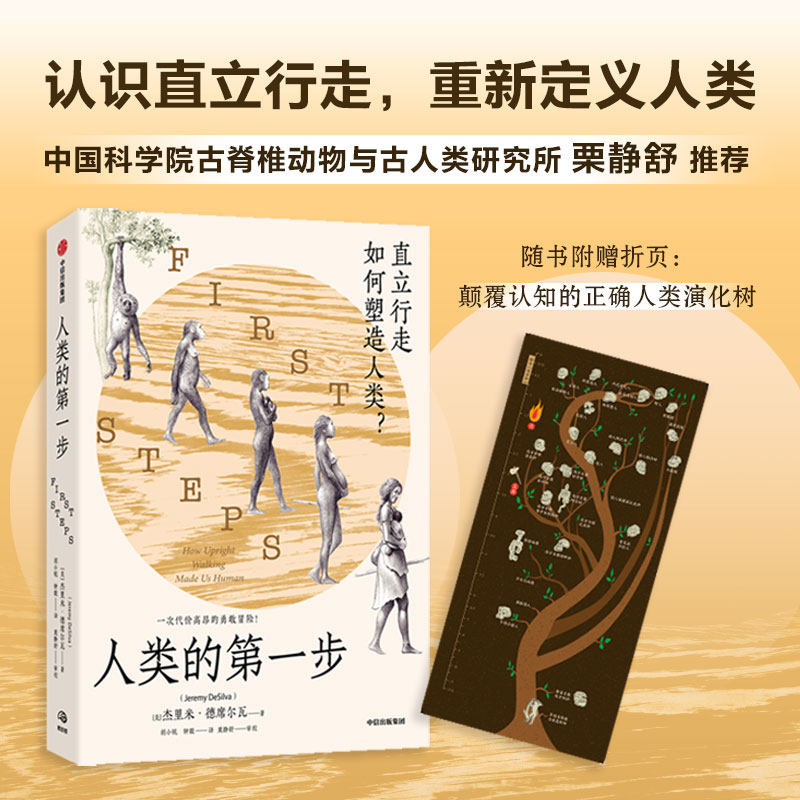 赠颠覆认知的人类演化树折页 你之前学到的人类进化示意图可能是错的