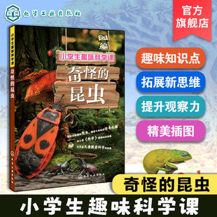 当当正版 小学生趣味科学课 奇怪的昆虫 6-12岁儿童小学生科普百科图书籍 拓展新思维 提升观察力 激发好奇心 精美插图 趣味知识点
