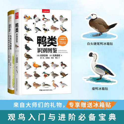 【当当网专享赠冰箱贴】观鸟入门与进阶宝典 来自大师们的礼物 1500余幅手绘照片 科学的鸟种认知实用的设计编排一书助你从容观鸭