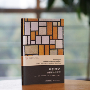 当当网 （当代学术棱镜译丛）解析社会：分析社会学原理 [瑞典] 彼得·赫斯特洛姆 著，陈云松、范晓光、朱彦 等 译 南