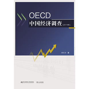 OECD中国经济调查 2019年