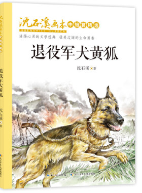 沈石溪画本·中短篇精选:退役军犬黄狐