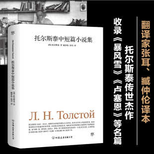 卢塞恩 翻译家张耳 托尔斯泰传世杰作 收录 译本 托尔斯泰中短篇小说集 臧仲伦经典 等名篇 当当正版 暴风雪 书籍