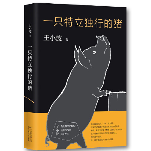【当当网 正版书籍】一只特立独行的猪 王小波杂文精选集 逝世二十周年精装纪念版 现当代文学散文随笔读物杂