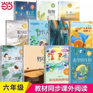 当当网旗舰店】六年级下册小学语文同步课外阅读书上册金色的鱼钩匆匆腊八粥表里的生物藏戏董存瑞舍身炸碉堡月光曲桥灯光课文作品