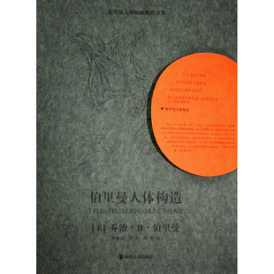 伯里曼人体绘画教程全集--伯里曼人体构造