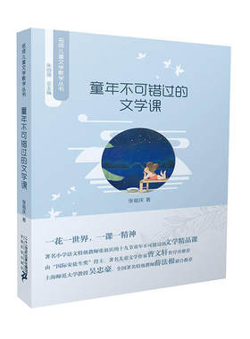 正版包邮 名师儿童文学教学丛书 童年不可错过的文学课 当当网畅销图书籍