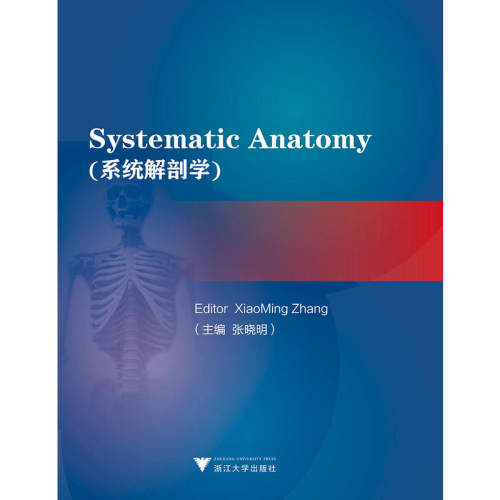 Systematic anatomy 系统解剖学