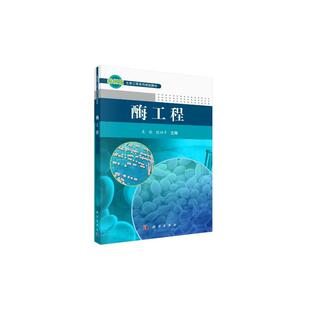 酶工程