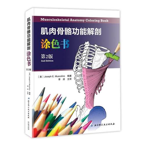 肌*骨骼功能解剖涂色书（第2版）