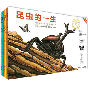 【当当网 正版童书】昆虫的一生（套装共5册）绘本大师得田之久经典作品，福音馆书店典藏书，热销日本50年