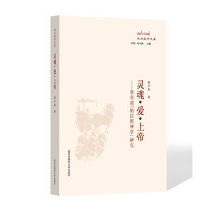 研究 柏拉图神学 甘阳 刘小枫主编 灵魂·爱·上帝 政治哲学文库 斐奇诺