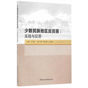 少数民族地区反贫困:实践与反思