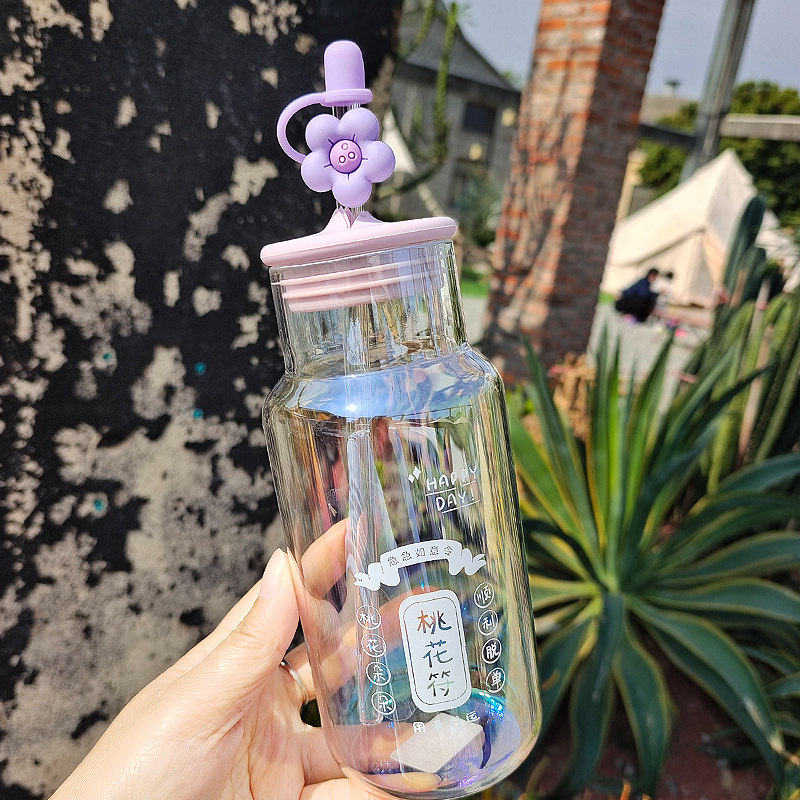 带盖炫彩吸管玻璃杯ins高颜值轻奢水杯花朵防尘帽女生喝水茶杯子