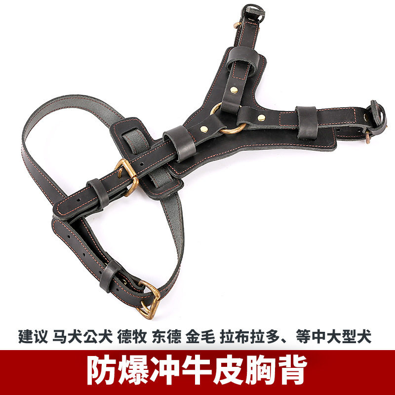牛皮胸背 宠物用品狗狗自动牵引绳 胸背带套装宠物牵引绳