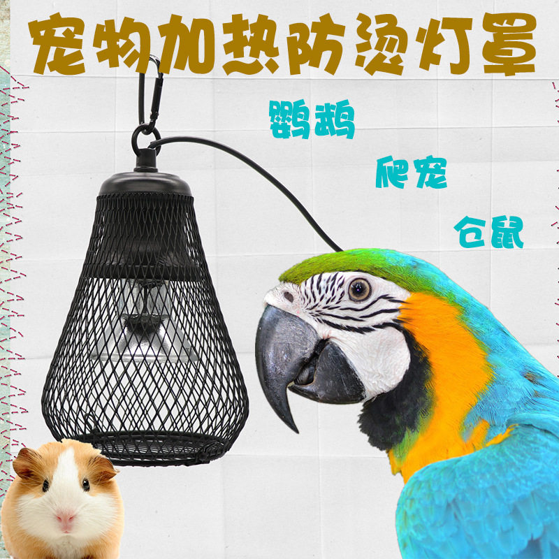 鹦鹉防烫灯罩源头厂家爬虫保温箱UVA加热灯蜥蜴鸟用蛇用锥型网罩