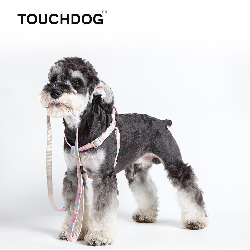 Touchdog它它遛狗牵引绳胸背项圈泰迪狗牵引绳狗链博美比熊小型犬