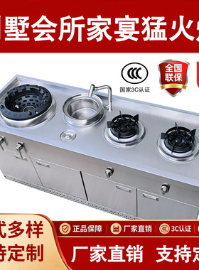 别墅家宴不锈钢猛火双灶燃气灶