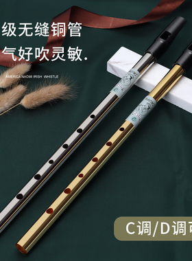 美国NAOMI爱尔兰哨笛 初学者入门六孔竖笛C调D调高音直笛锡笛乐器