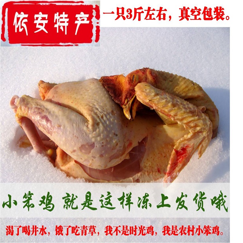 东北黑龙江依安农家纯粮散养本地鸡土鸡笨鸡公鸡老母鸡3.3斤左右