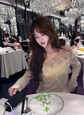 CHICHEN晨妍 温柔繁花 鸵鸟毛手工刺绣繁花网纱羊毛打底针织衫女