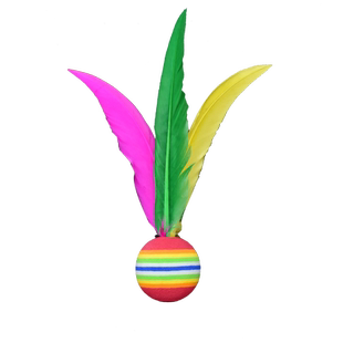 板羽球三毛球白羽球高弹大球大头球板羽毛球10只装板羽球拍鸡毛球