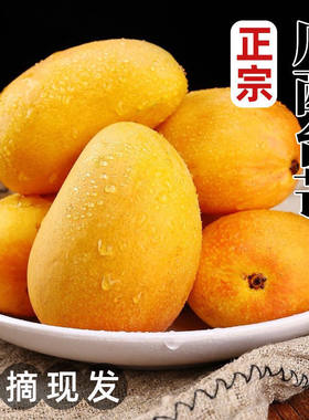 【台农芒】正宗广西百色小台农芒10斤纸箱装现摘现发芒果产地直发