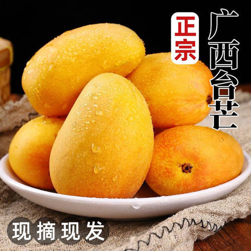 【台农芒】正宗广西百色小台农芒10斤纸箱装现摘现发芒果产地直发