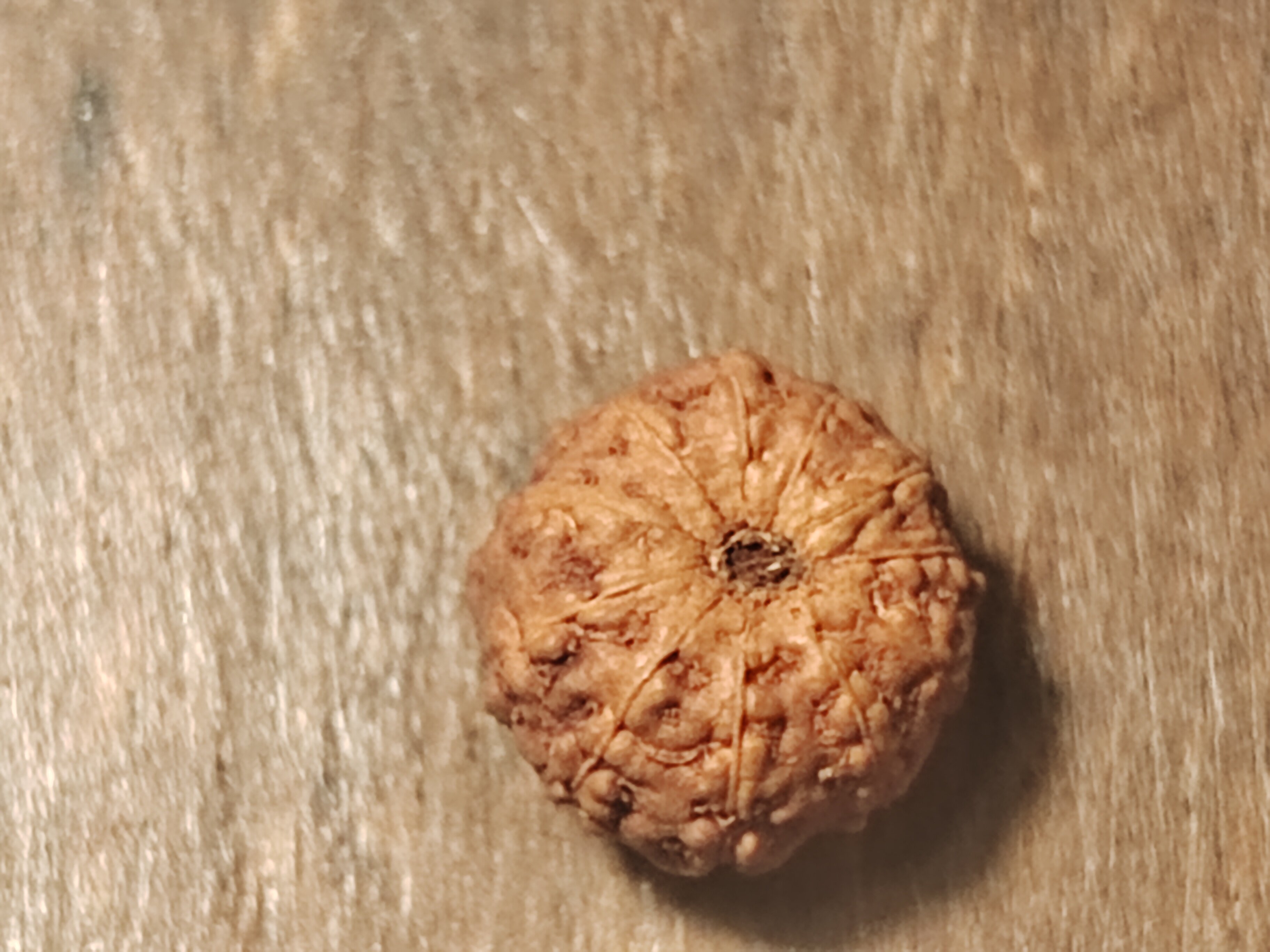 小金刚菩提多瓣单籽飞碟桩9mm手串手持背云吊坠