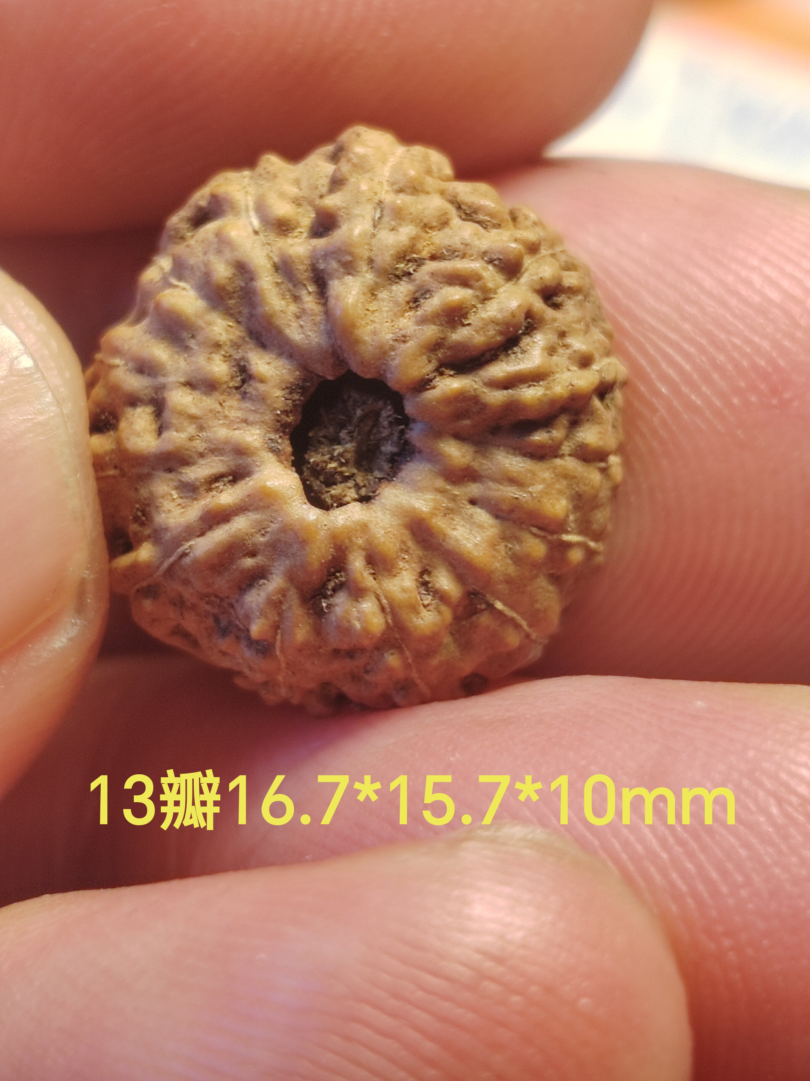 小金刚多瓣13瓣天然108手持手串背云吊坠