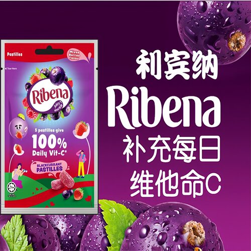 零食利宾纳黑加仑子软糖杂莓味