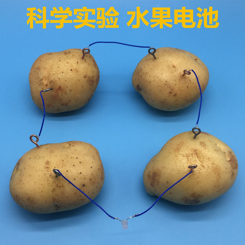 小制作小发明 水果发电 电池组装套装 物理实验diy益智教材套件