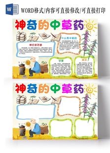 关注神奇 小学 中草药小妙招知识简报小学生手抄报小报模板电子版