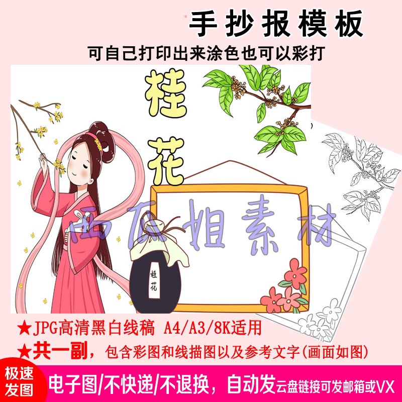 我喜欢的植物桂花手抄报模板素材电子版简笔线稿小学生飘香嫦娥