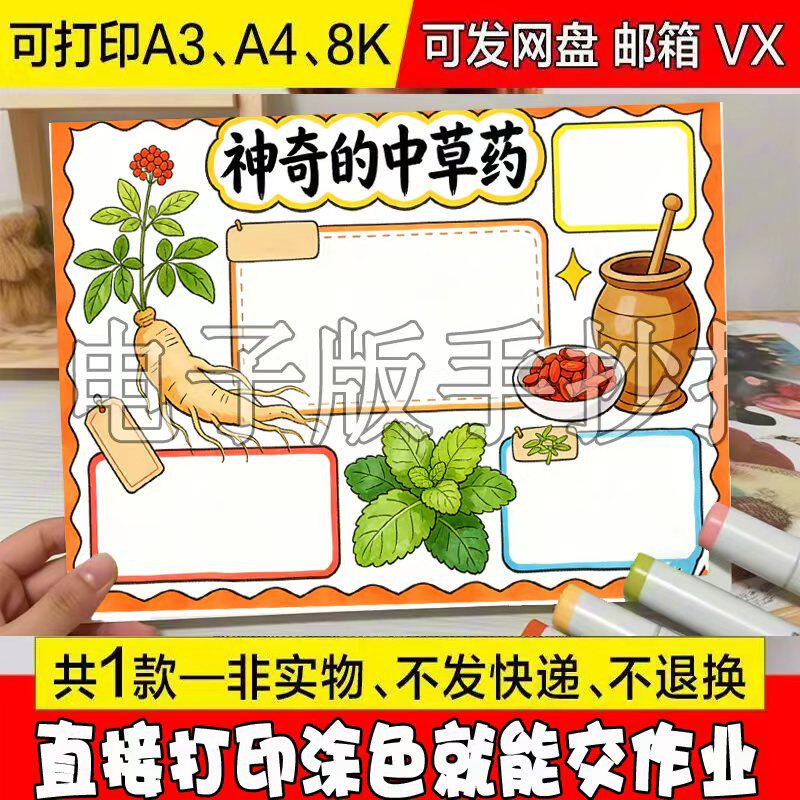 神奇的中草药手抄报模板简单可打印手绘线稿小学生认识中医药文化
