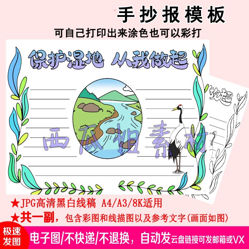 保护湿地从我做起手抄报模板素材电子版简笔线稿小学生生态物种保