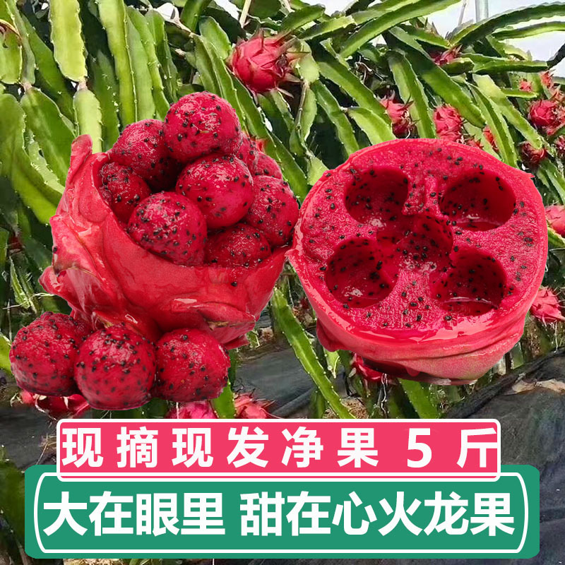 金都一號紅心果整箱新鮮5斤包郵廣西紅肉當季水果大果