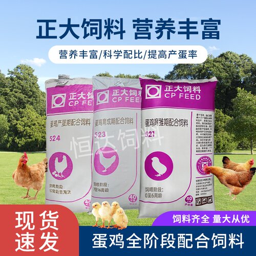 正大鸡饲料小鸡开口育雏高产