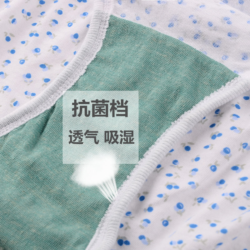 Slip Moyen-âge en coton - Ref 643131 Image 4