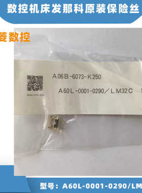 全新原装发那科 FANUC保险丝A60L-0001-0290/LM32C