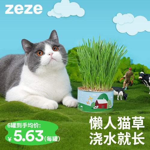 zeze猫草罐头猫薄荷猫咪零食化毛种子水培盆栽种籽猫咪去毛球用品