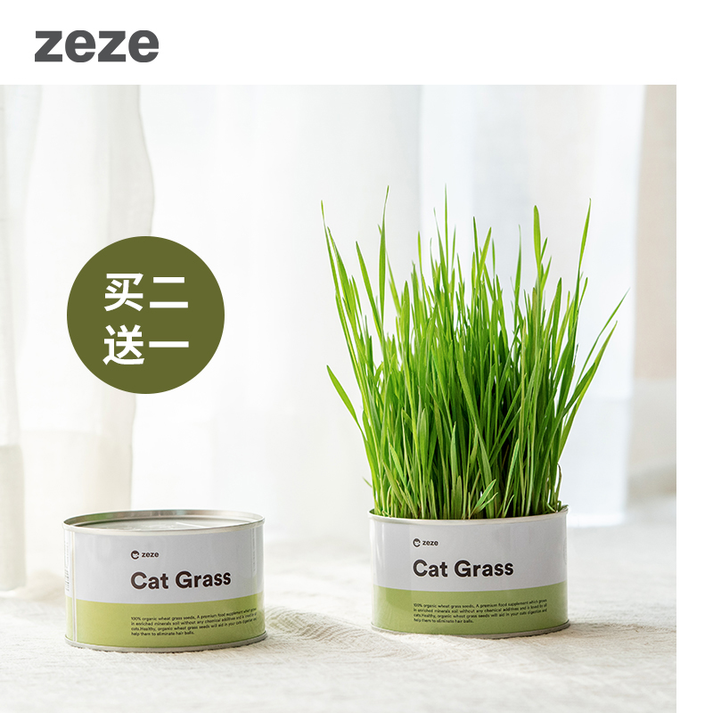 Zeze猫草化毛去毛球猫零食无土壤种植套装水培小麦种子猫薄荷猫草 小编推荐 Wepost 全民代运 马来西亚中国淘宝代运与集运专家 Zeze猫草化毛去毛球猫零食无土壤种植套装水培小麦种子猫薄荷猫草 小编推荐 Wepost 全民代运 马来西亚中国淘宝代运与集运专家