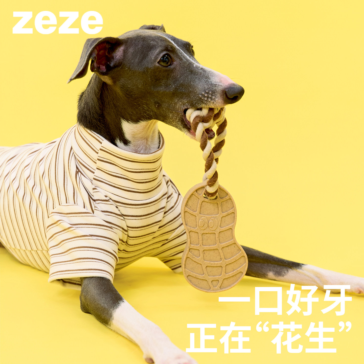 zeze花生狗狗磨牙棒小狗绳结玩具中小型犬耐咬自嗨解闷宠物玩具