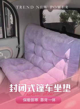 三轮车电动封闭式篷车坐垫靠背一体垫海宝金鹏豆奇su7盛昊雅迪cl9