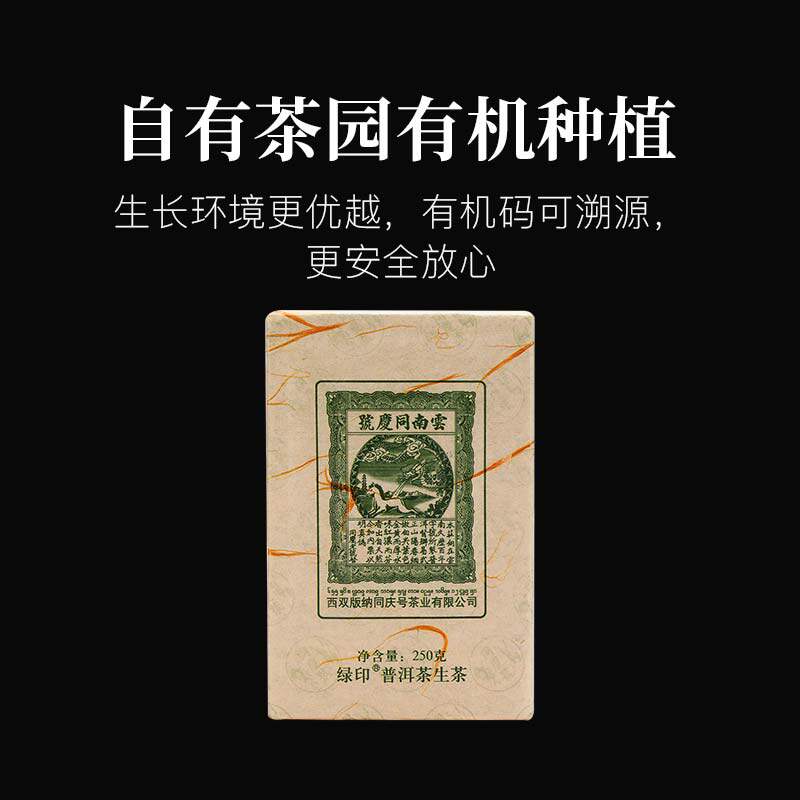 同庆号 绿印生茶茶砖250g云南生态茶园有机茶春茶纯净细腻甘爽