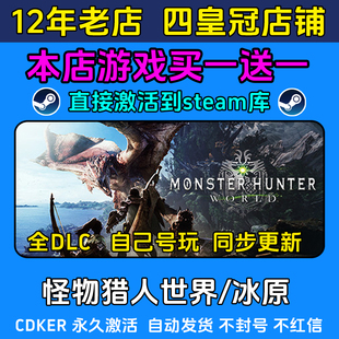 怪物猎人世界冰原 steam游戏CDKEY激活码 入库电脑 全DLC 包更新